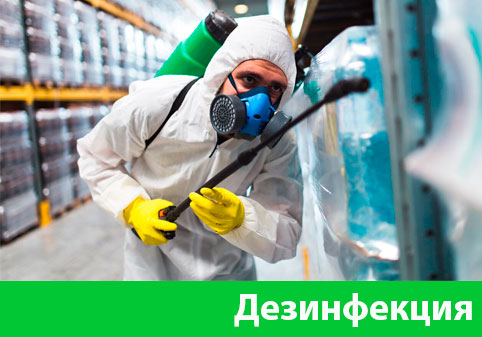 Дезинфекция в городе Саранск