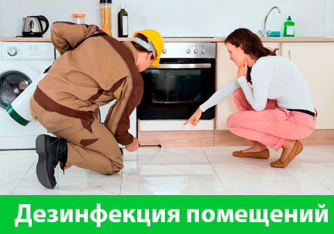Дезинфекция офисов от коронавируса в городе Саранск