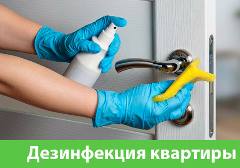 Дезинфекция квартиры в городе Саранск