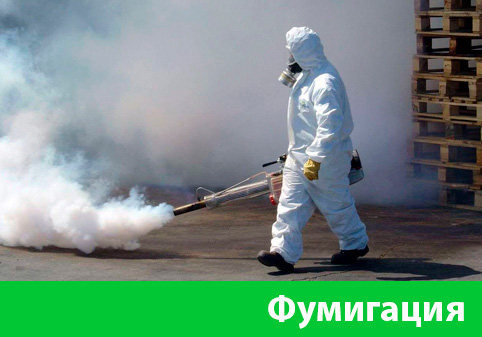 Фумигация в городе Саранск