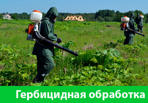 Гербицидная обработка в городе Саранск