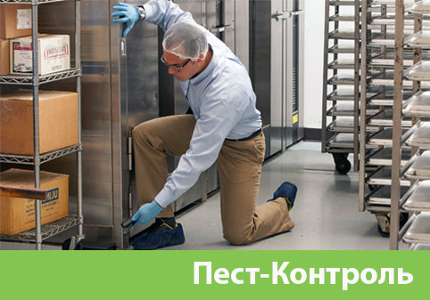 Пэст-Контроль в городе Саранск