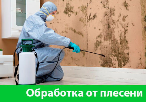 Обработка от плесени в городе Саранск
