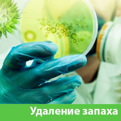 Удаление запахов в Саранске