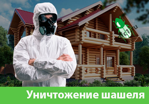 Уничтожение шашеля и личинок в Саранске