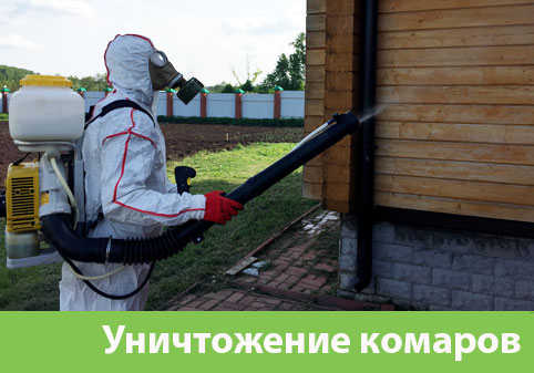 Уничтожение комаров в городе Саранск