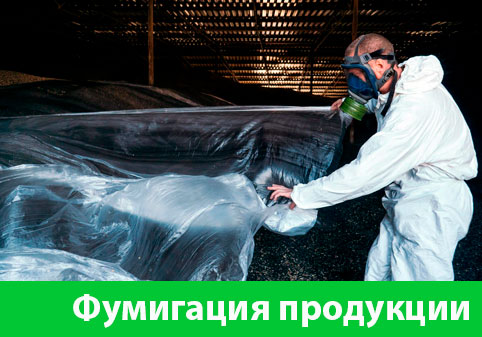 Фумигация продукции в городе Саранск
